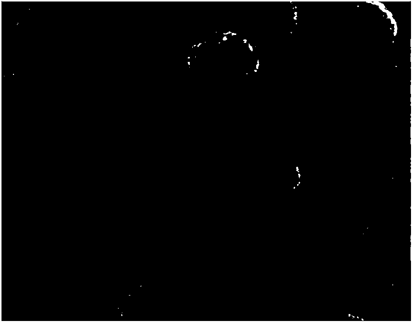 A kind of preparation method of nano cuprous oxide hollow sphere