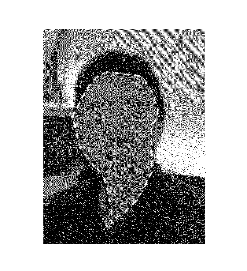 Method and Apparatus for Facial Image Processing