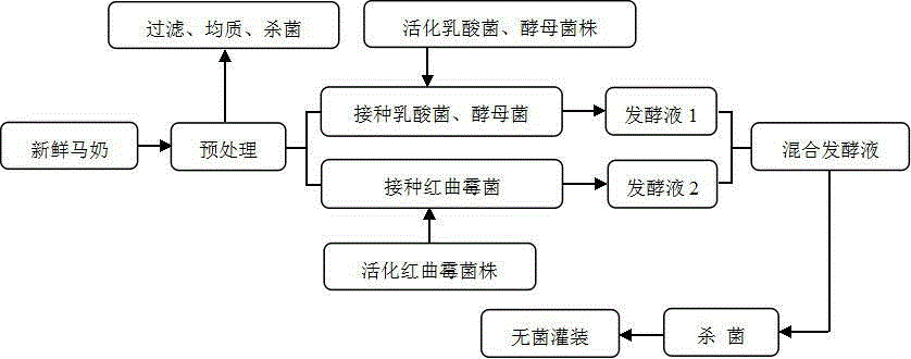 A kind of horse milk with hypolipidemic acid prepared by mixed fermentation of compound strains and preparation method thereof