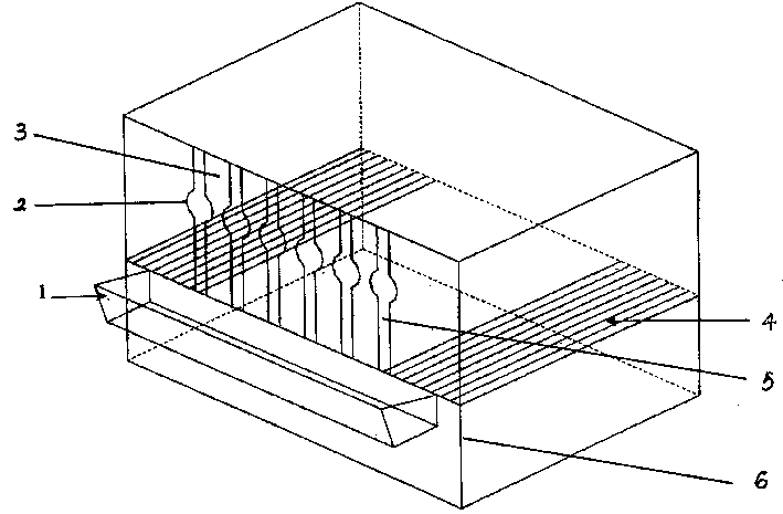 Goat high-bed shed feeding method