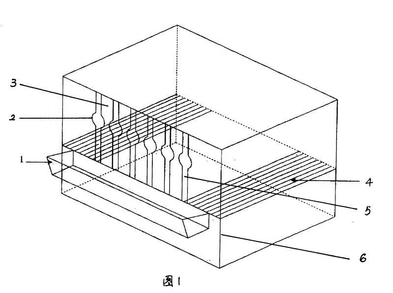 Goat high-bed shed feeding method