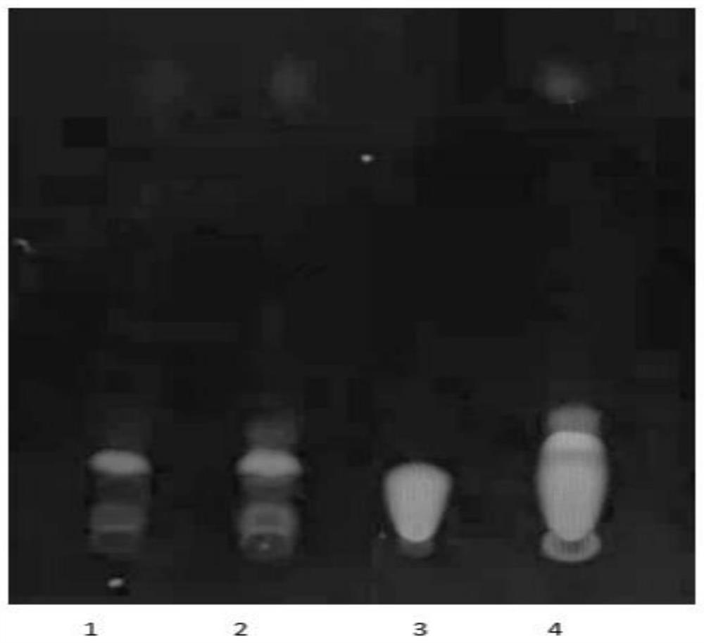 Detection method of swelling and pain relieving vinegar paste