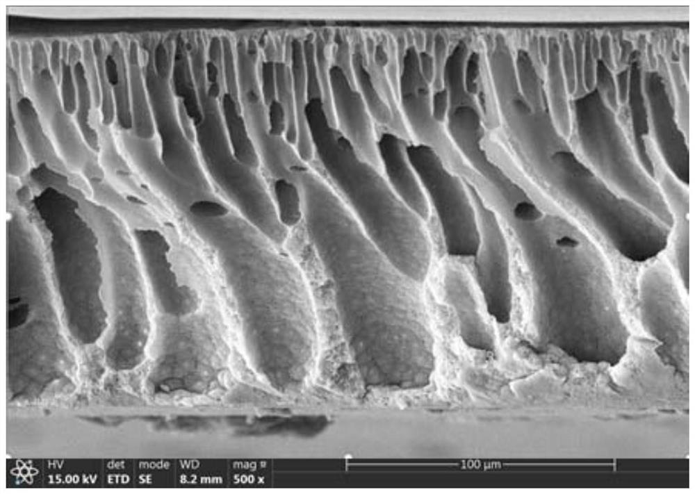 Super-hydrophilic composite membrane suitable for oil-water separation in severe environment and preparation method of super-hydrophilic composite membrane