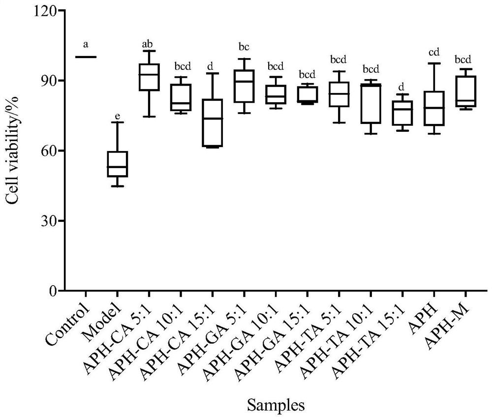 Application of anchovy peptide-catechin conjugate in memory improvement