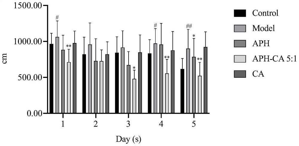 Application of anchovy peptide-catechin conjugate in memory improvement