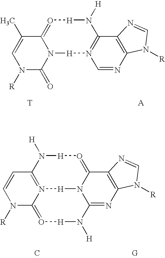 Highly orthogonal universal sequences for use in nucleic acid assays