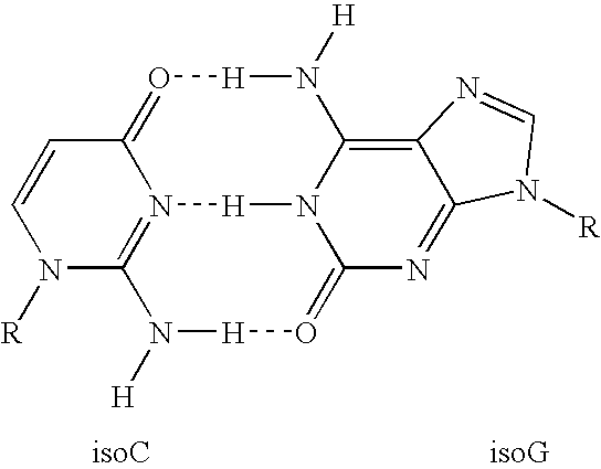 Highly orthogonal universal sequences for use in nucleic acid assays