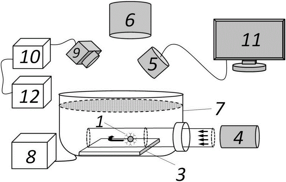 Method for tunably capturing and screening topological insulator particles above substrate through utilizing linearly polarized planar light waves