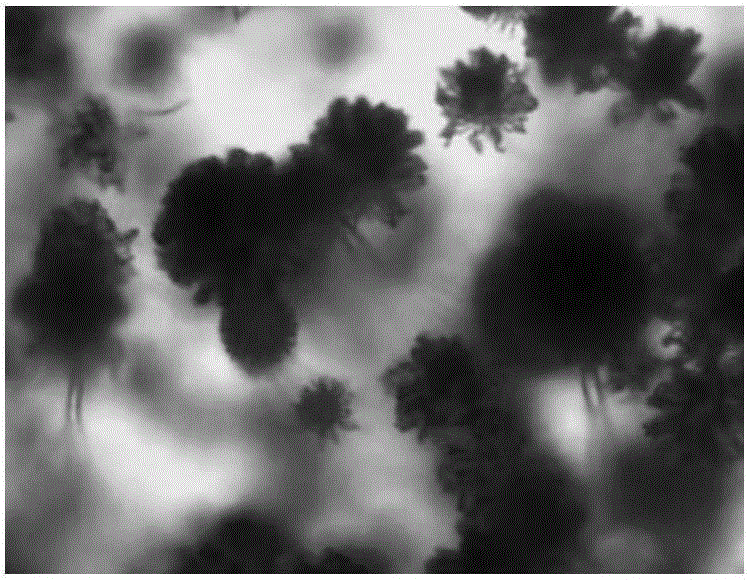 Aspergillus clavatus-32 strain capable of highly yielding Lovastatin and application of Aspergillus clavatus-32 strain