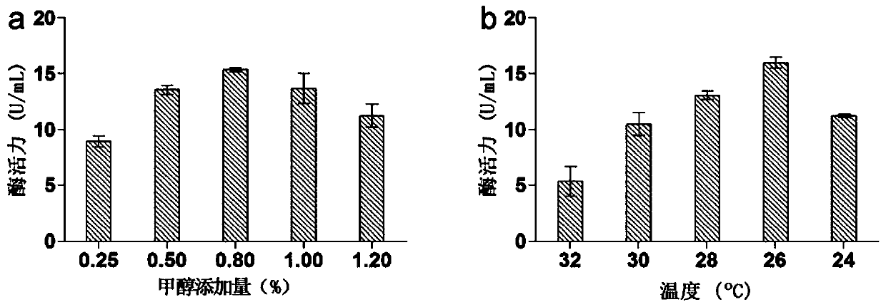 Application of high temperature-resistant alpha-rhamnosidase gene and its transformation of rutin to isoquercetin