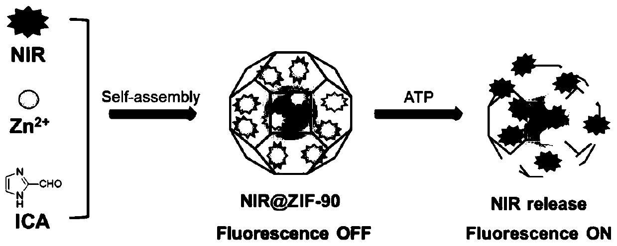 Preparation and application of ATP (adenosine triphosphate) near-infrared nanometer fluorescence probe