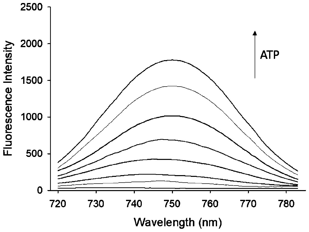 Preparation and application of ATP (adenosine triphosphate) near-infrared nanometer fluorescence probe