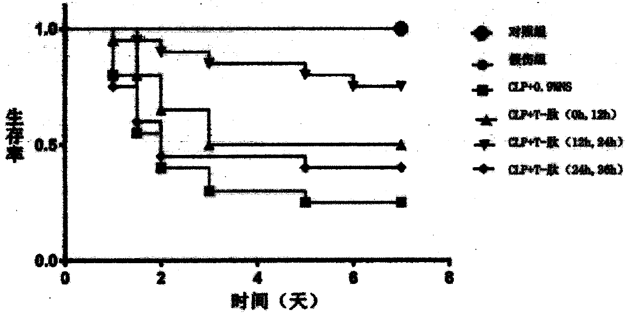 A t-peptide immunomodulator for sepsis treatment