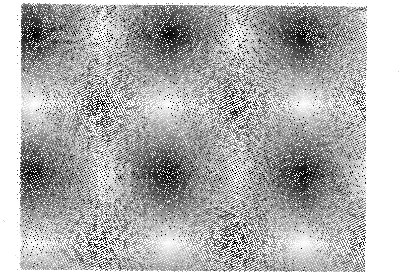 Method for extracting pulmonary mesenchymal stem cells