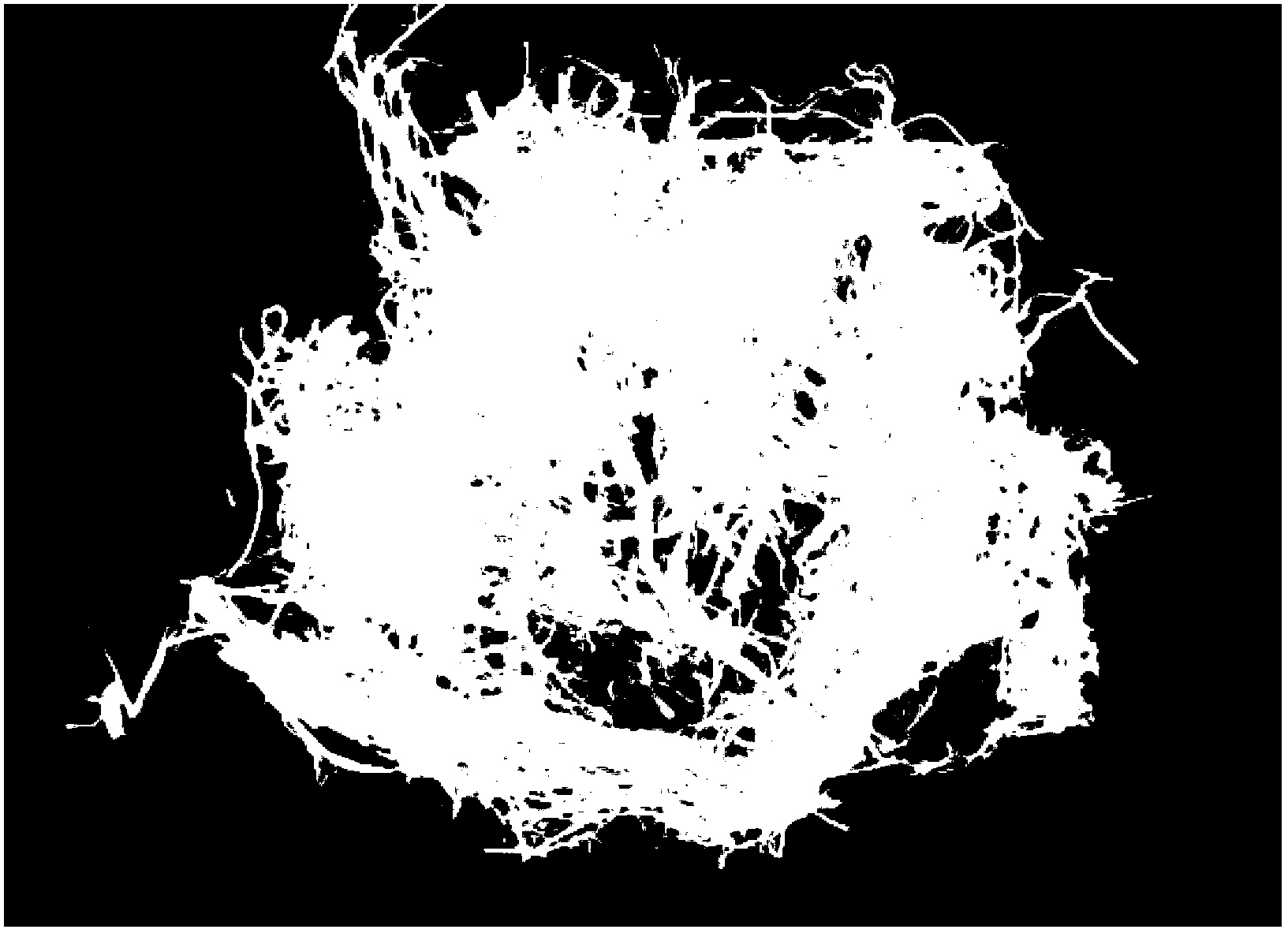 Method for preparing high air tightness antibacterial reinforced membrane by using straws