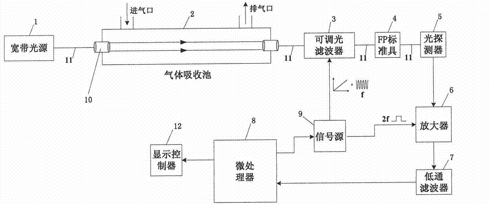 Optical detection system for measuring concentrations of different gases