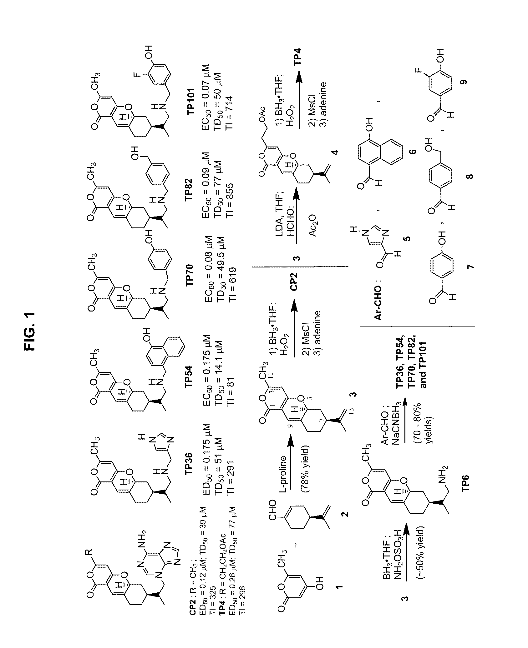 Tricyclic pyrone compounds reduce amyloid beta aggregates