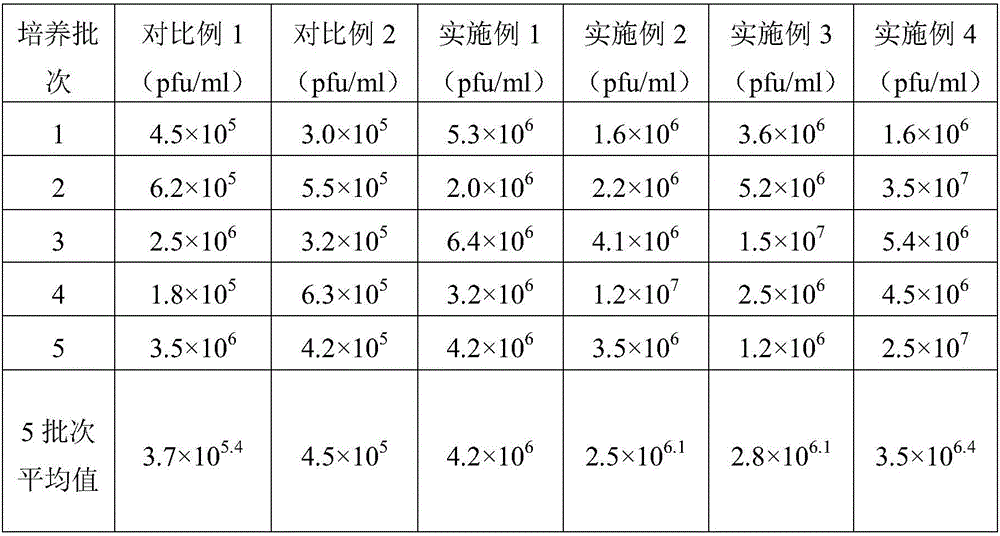 Production method of bdellovibrio bacteriovorus preparation