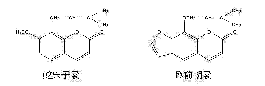 Method for separating and purifying cnidium lactone and imperatorin from fructus cnidii