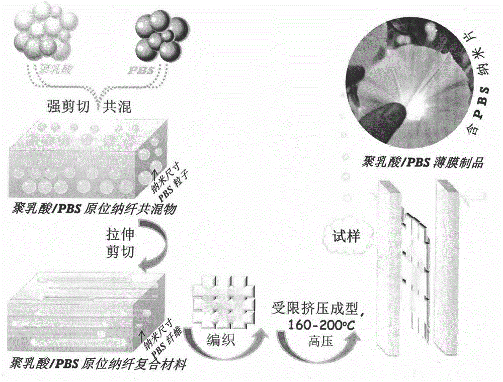 Preparation method of full-degradable high-strength high-barrier polylactic acid film by in-situ introduction of poly butylene succinate nanosheet