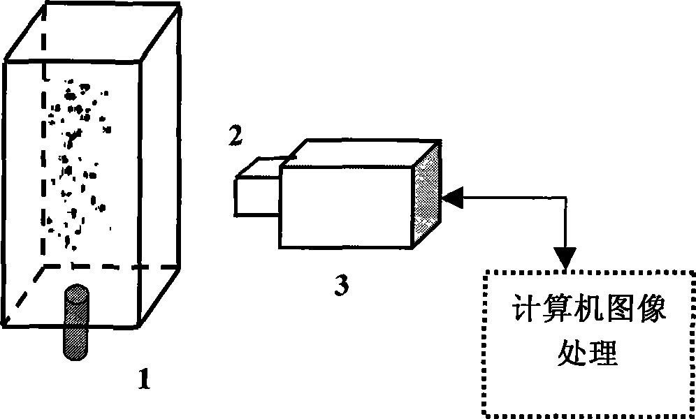 Method and device for measuring solid particle three-dimensional concentration field and velocity field in gas/solid two-phase stream