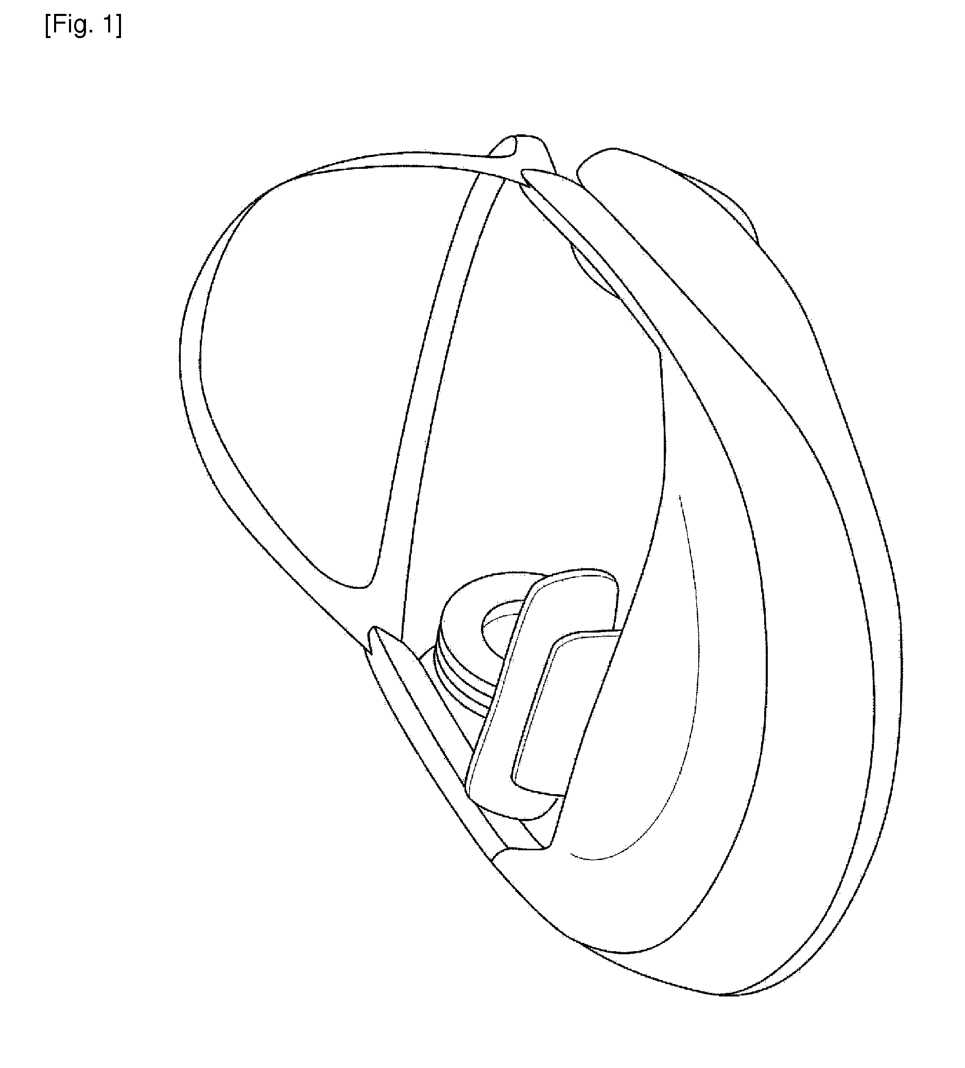 Image display device and information input device