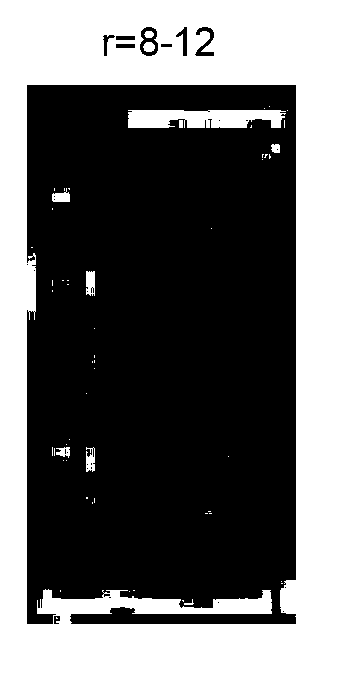 License plate Chinese character recognition method