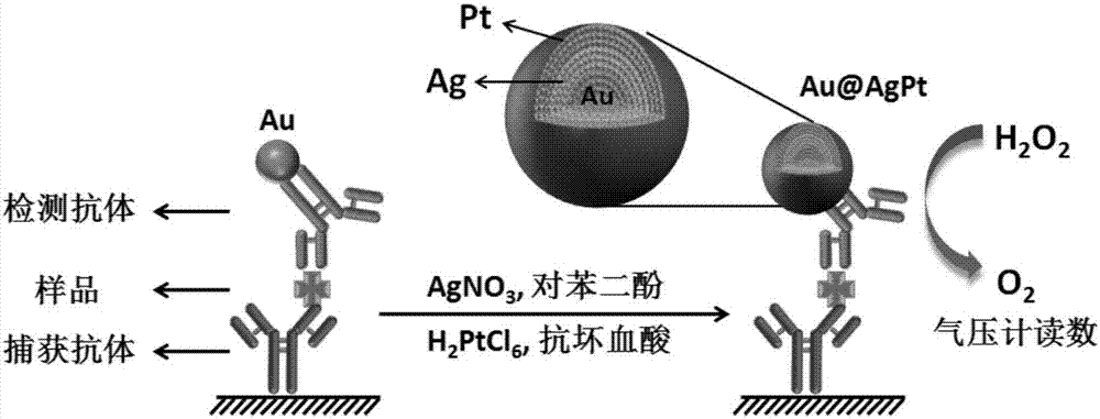 A kind of ELISA detection method based on nanozyme with catalase activity