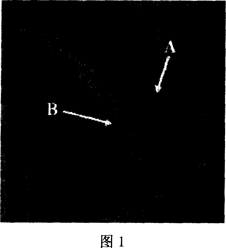 Method of modifying multiwall carbon nano-tube