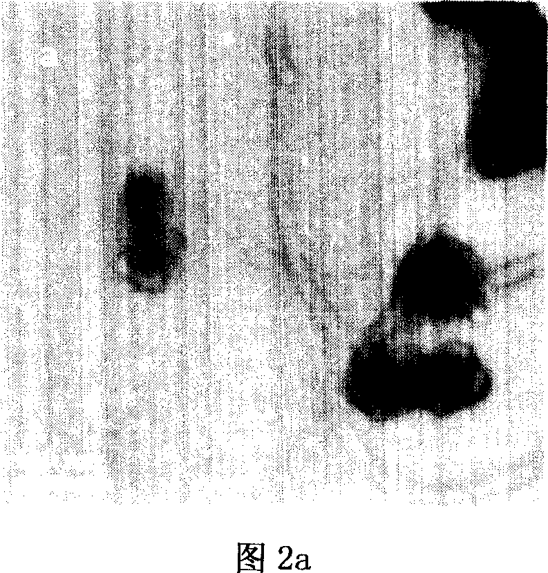 Method of modifying multiwall carbon nano-tube