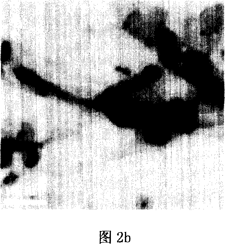 Method of modifying multiwall carbon nano-tube