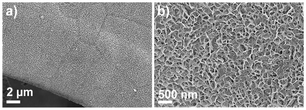 A kind of in-situ growth nickel-based mofs film photocatalyst on the surface of foamed nickel and its preparation method and application