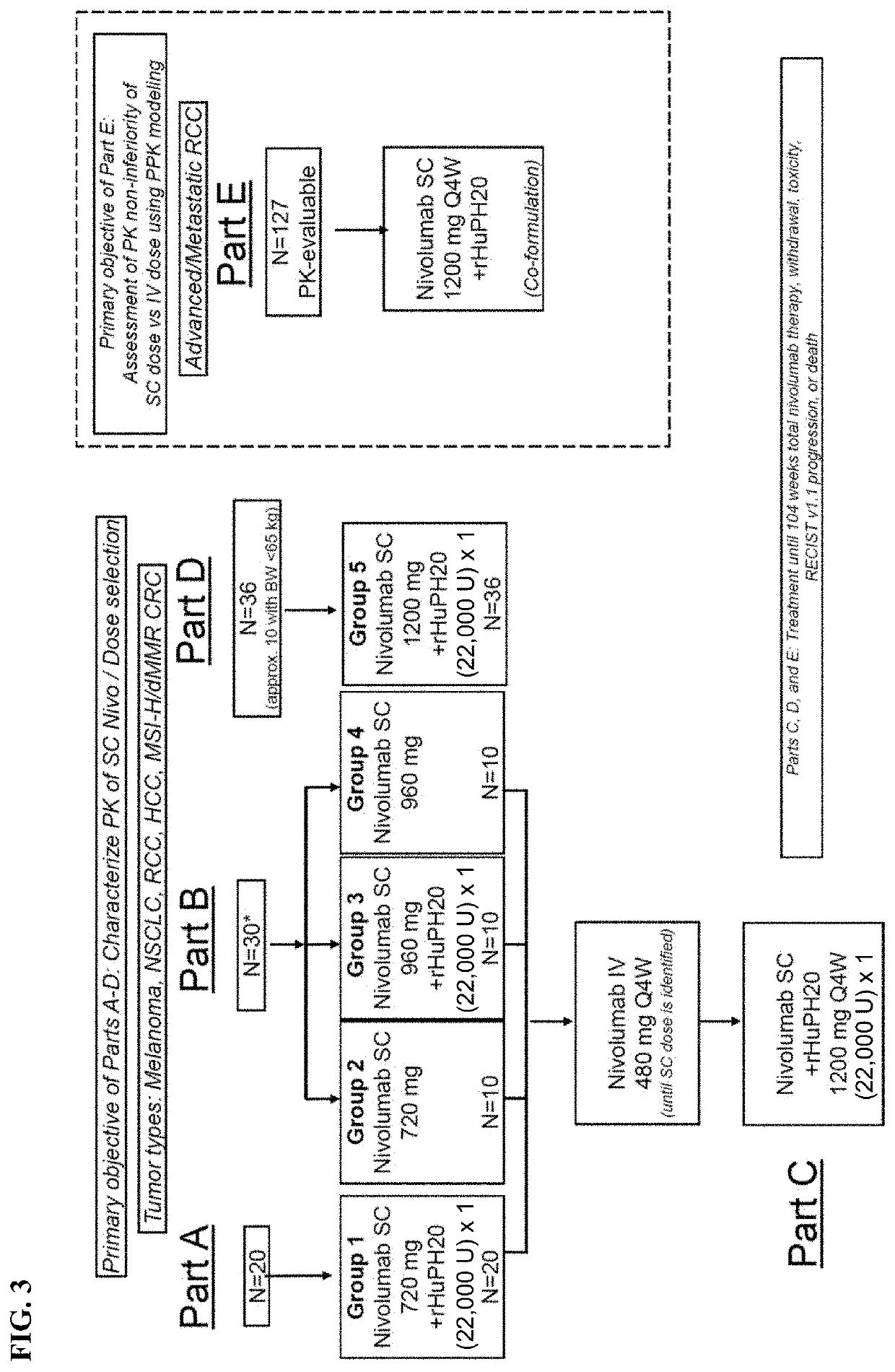 Antibody Compositions and Methods of Use Thereof