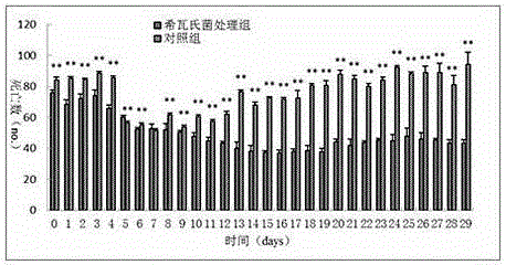 Use of Shewanella as feed additive in abalone culture