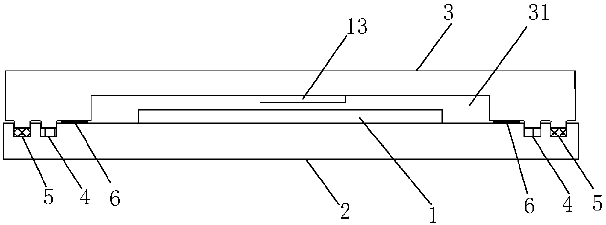 OLED panel with special packaging structure