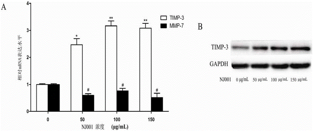 Application of monoclonal antibody NJ001-1 to preparation of drug for inhibiting invasion and metastasis of NSCLC (non-small-cell lung cancer)