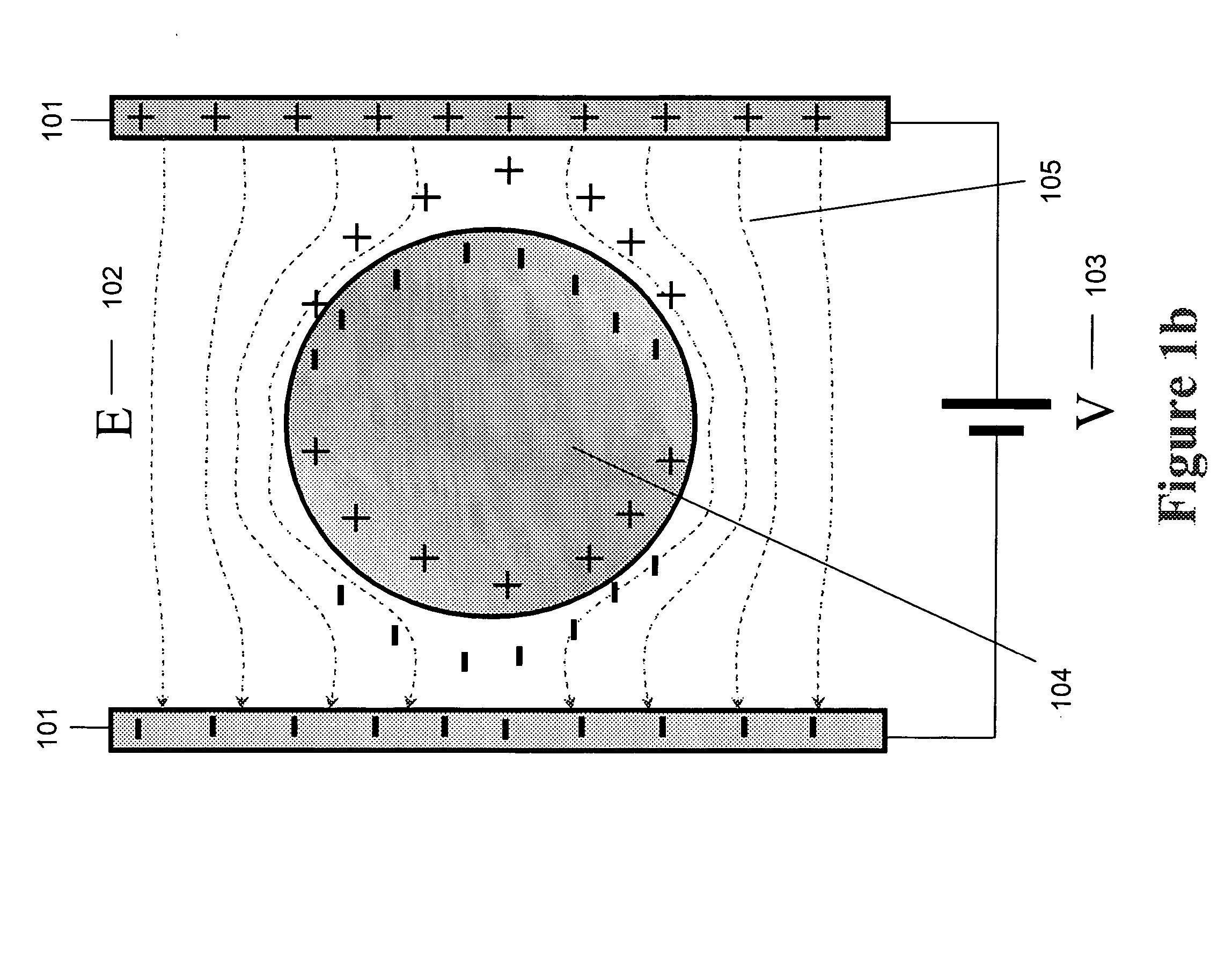 Method and apparatus for low quantity detection of bioparticles in small sample volumes