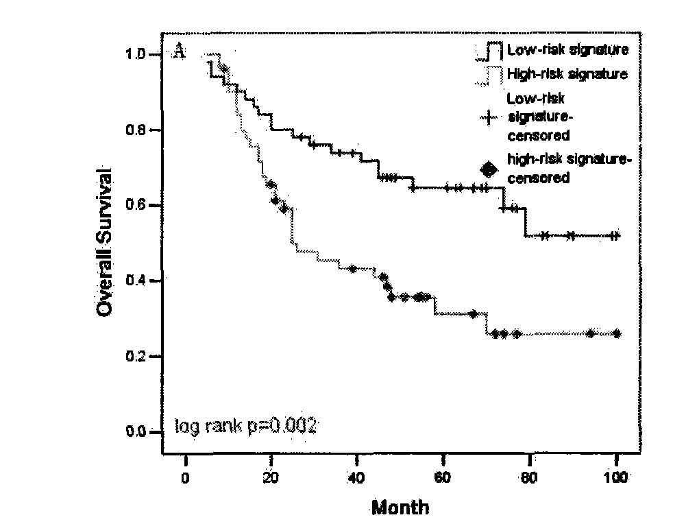 MicroRNA (ribonucleic acid) specific expression profile and application thereof