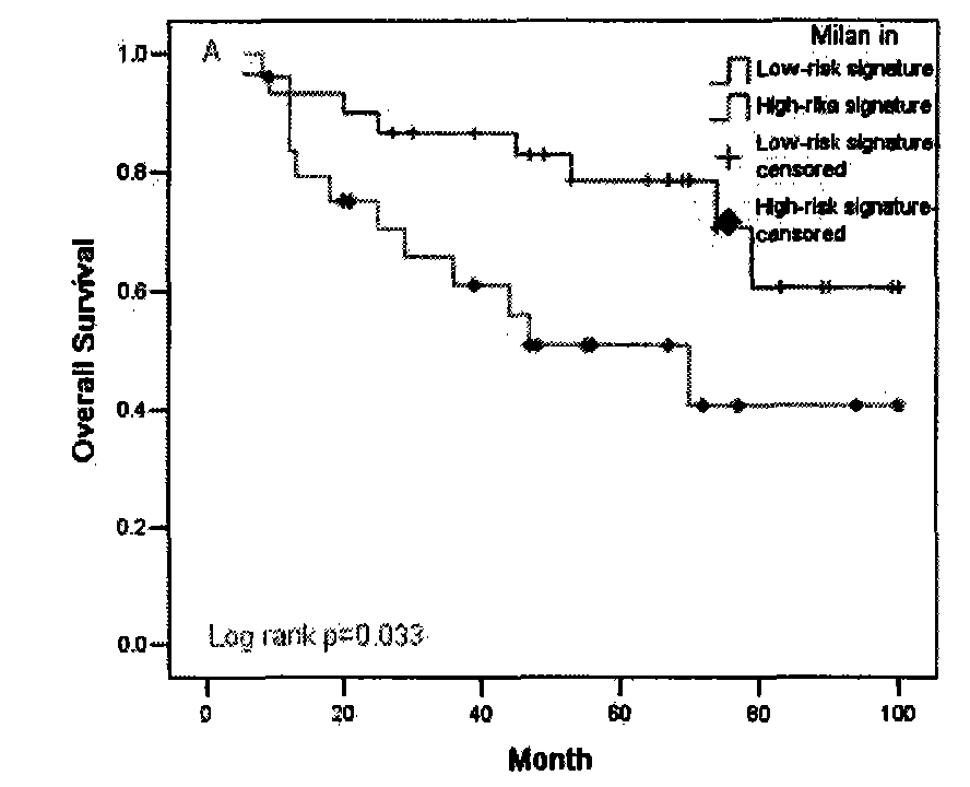 MicroRNA (ribonucleic acid) specific expression profile and application thereof