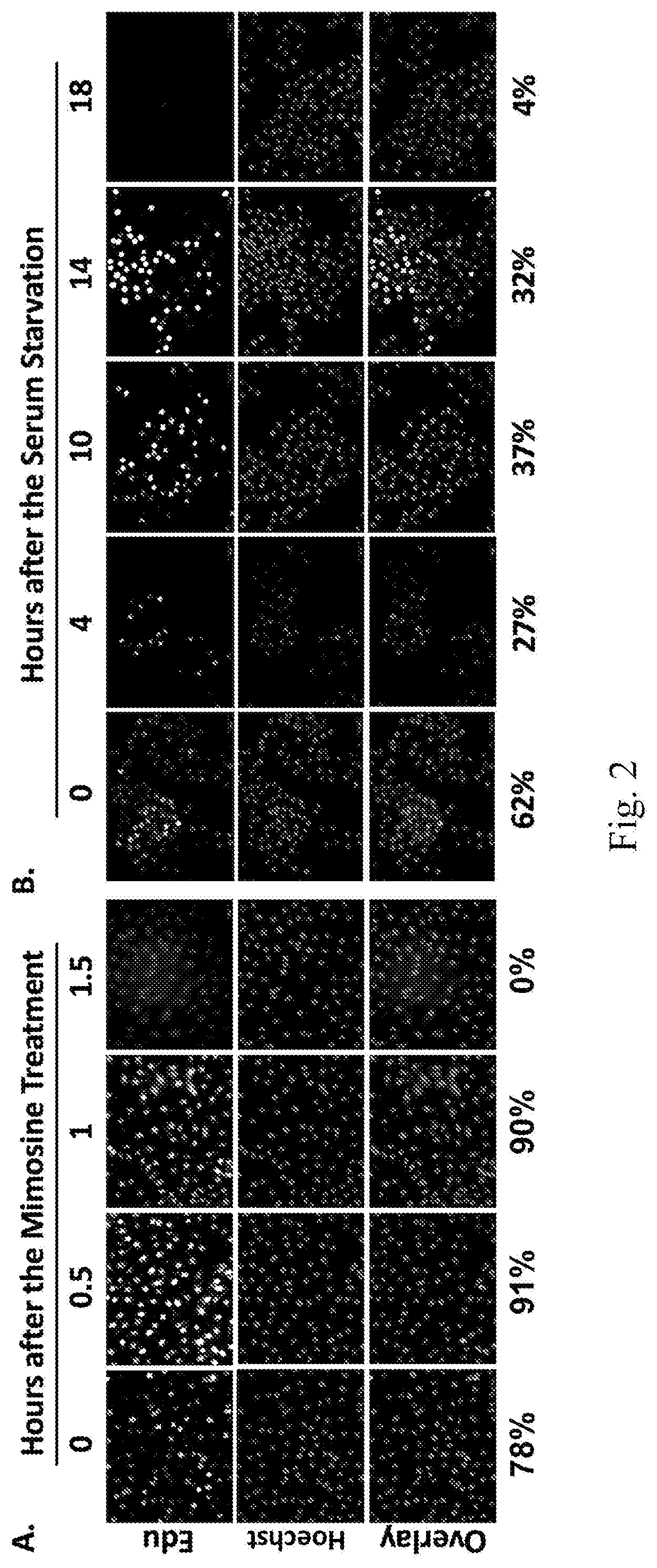 Triptonide or a composition comprising triptonide for use in treating disorders