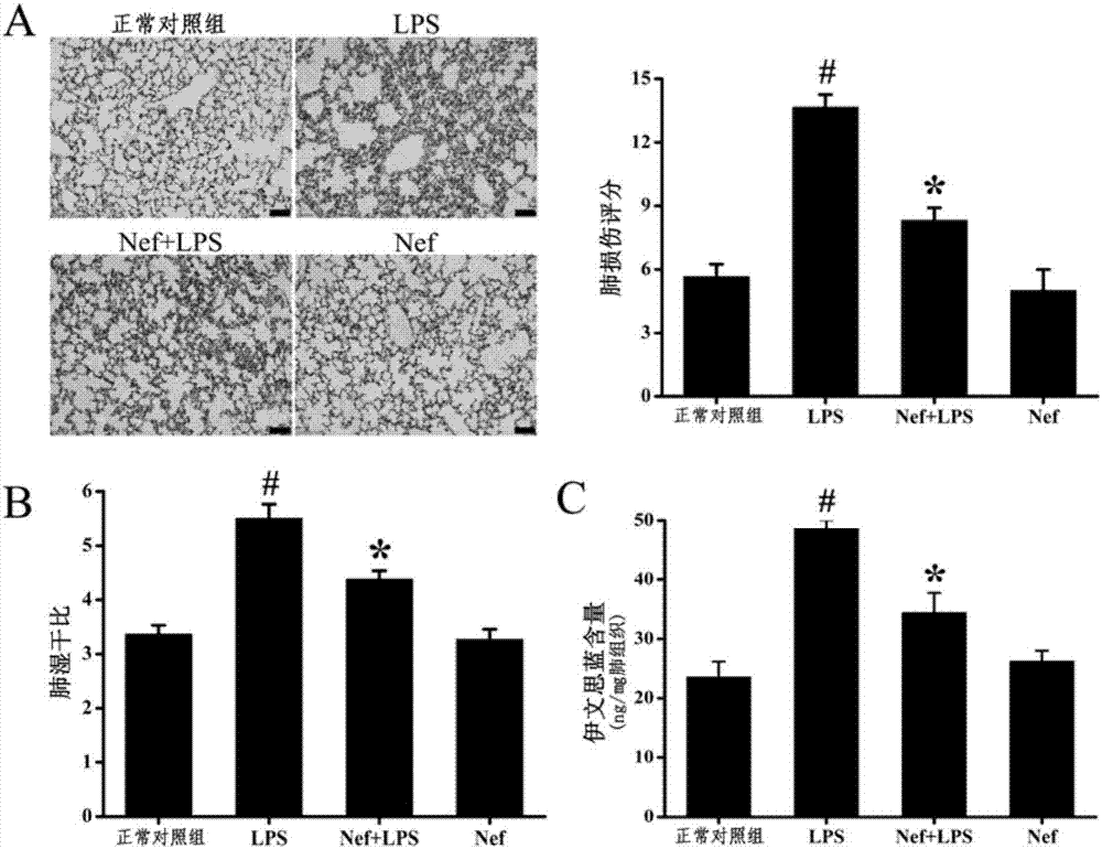 Application of neferine in preparation of drugs for preventing or treating acute respiratory distress syndrome