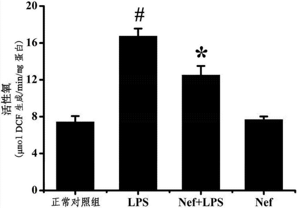 Application of neferine in preparation of drugs for preventing or treating acute respiratory distress syndrome