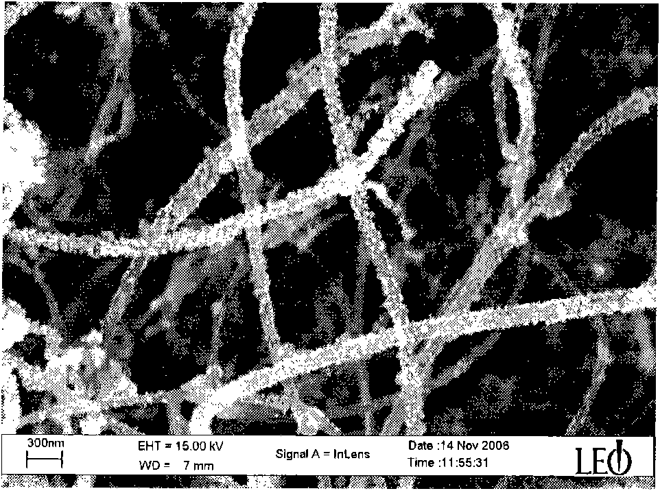 Method for preparing magnetic metal particle modified carbon nanotube