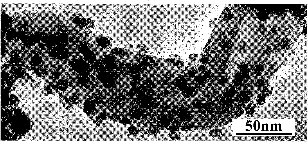 Method for preparing magnetic metal particle modified carbon nanotube