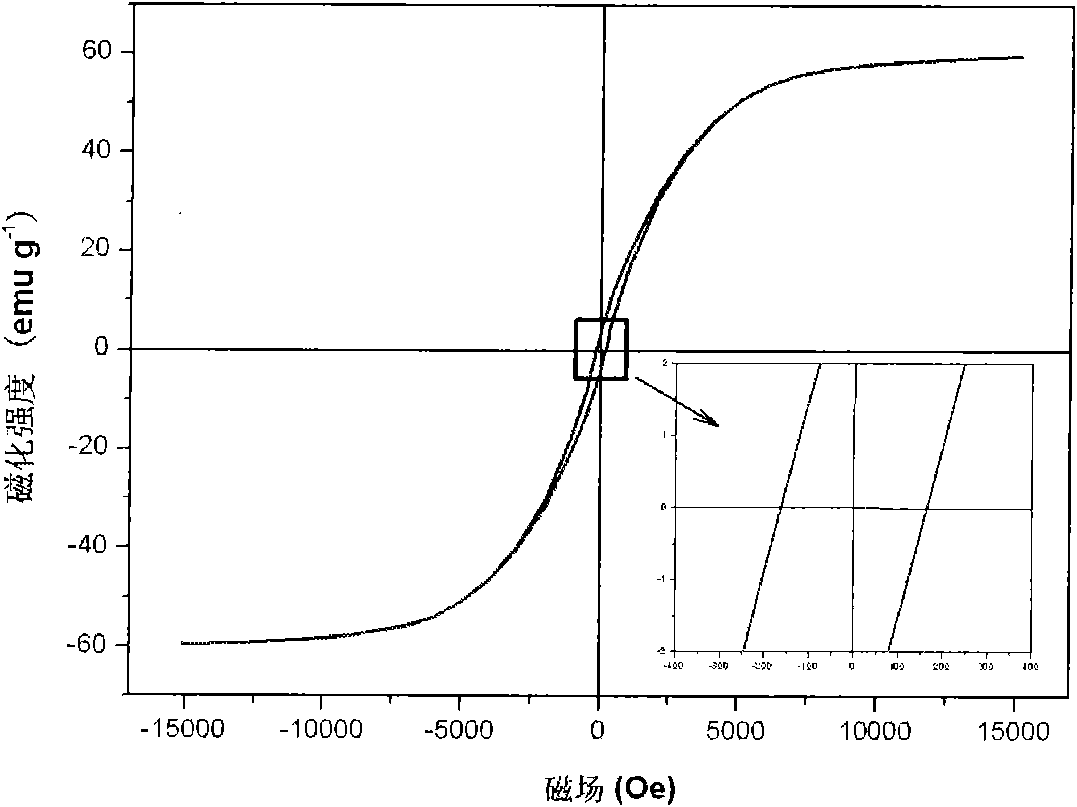 Method for preparing magnetic metal particle modified carbon nanotube