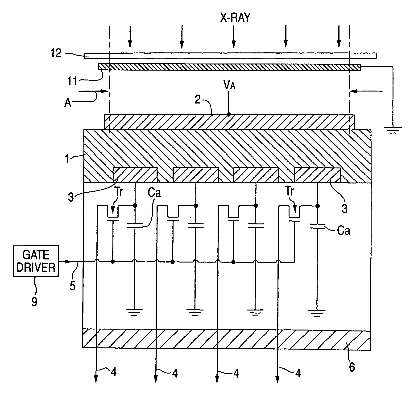 Radiation detector and light or radiation detector