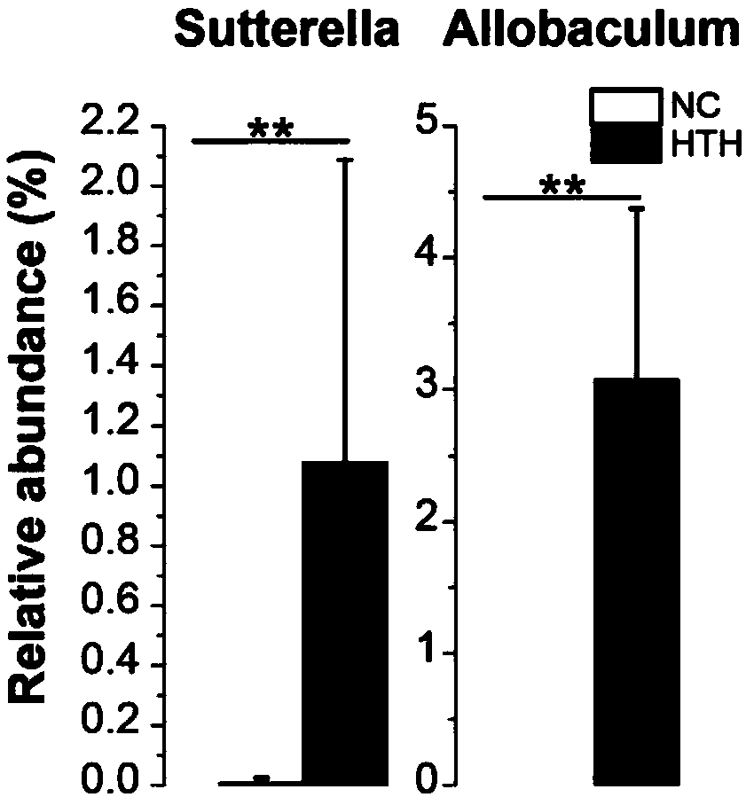 Method for establishing animal model with Lingnan damp-heat syndrome