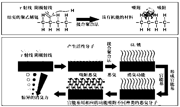 Novel safety efficient biological deodorant and preparation method thereof