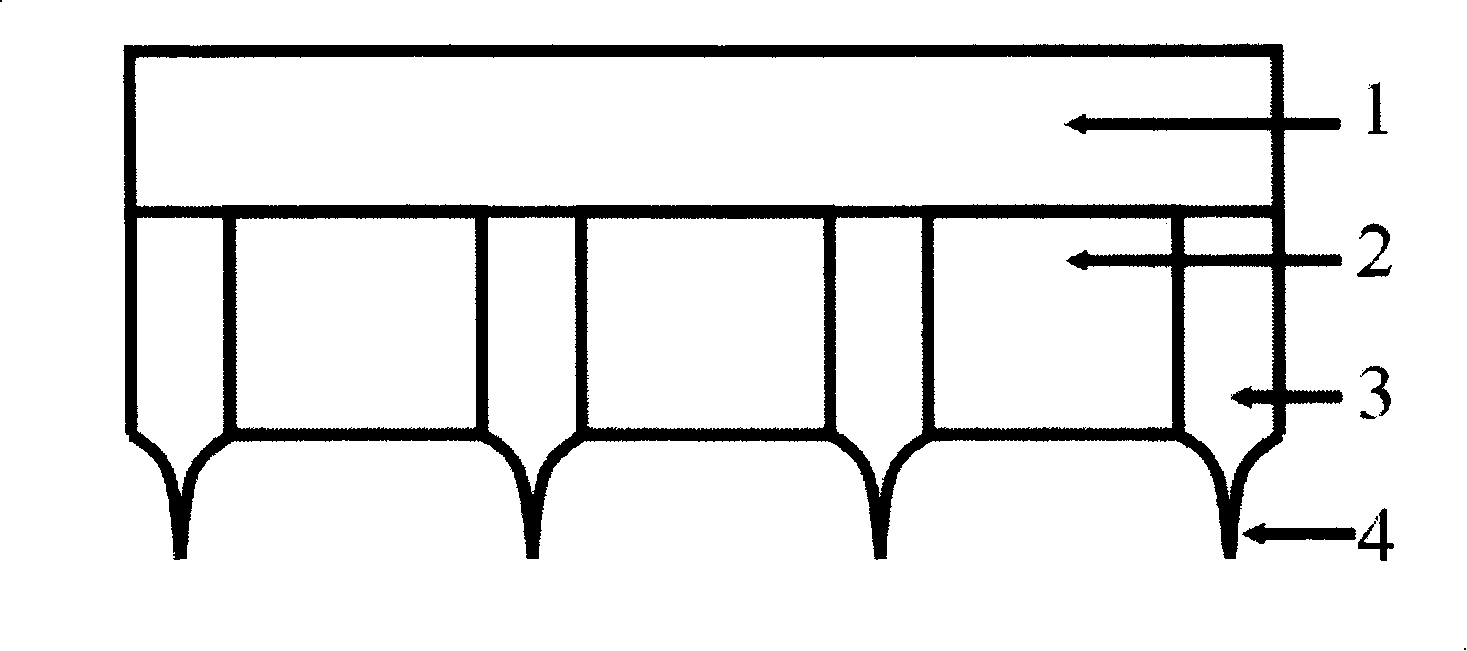 Microelectrode short-circuit-proof squeegee structure