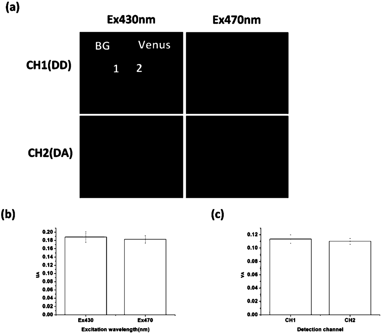 A Rapid Measurement Method of Fluorescence Resonance Energy Transfer Efficiency Based on Dual-Channel Fluorescence Intensity Simultaneous Detection